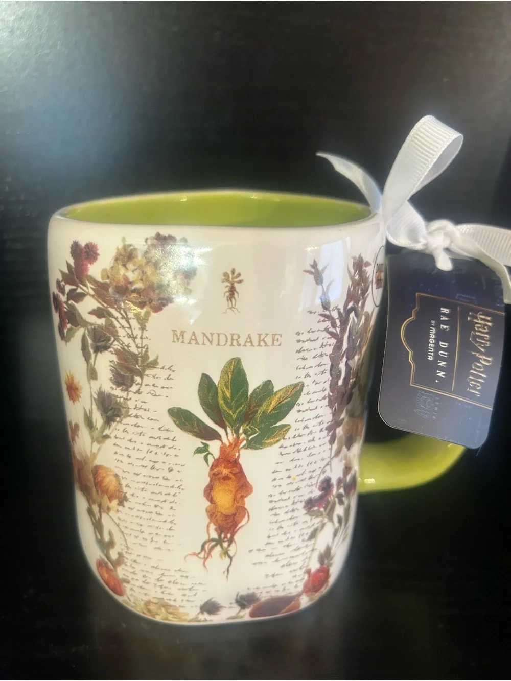 Rae Dunn Hogwarts Herbology Mug - White with Green Handle